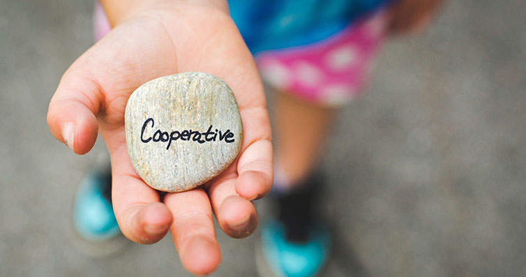 Education consultancy